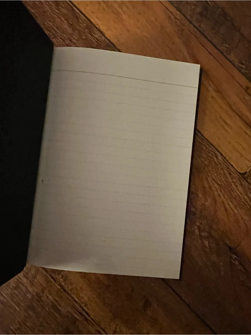 Pair of NEW Journaling Notebooks